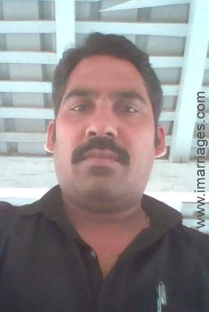 Matrimony Groom BCY7564645