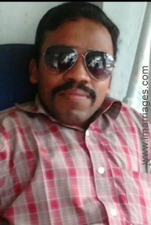 Matrimony Groom FWF3372376