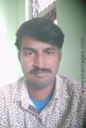 Matrimony Groom HKL5811511