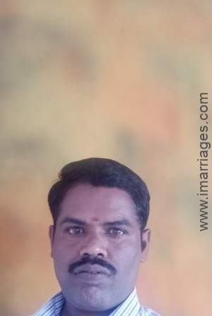 Tiruppur Matrimony Matrimonials Bride Groom