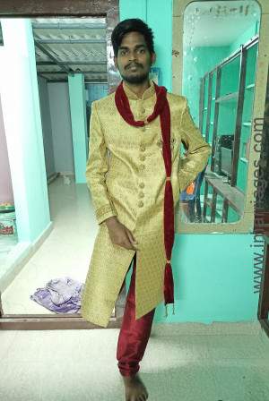 Matrimony Groom YNS5651551