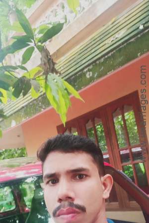 Matrimony Groom YSJ3563041