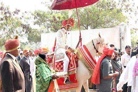 Riteish Deshmukh Wedding Horse